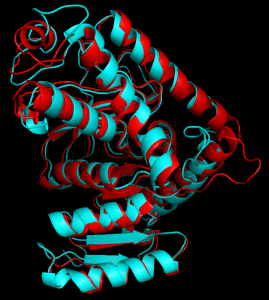 Example of an empirically determined structural alignment of two lactate dehydrogenase proteins (1a5z and 1ldn).