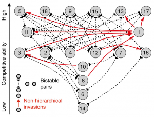 The invasion network overlaid on the hierarchy assignments