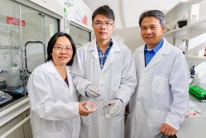 Photo of Shaoqin Gong, Qifeng Zheng and Zhiyong Cai holding their aerogel by Bryce Richter / UW-Madison