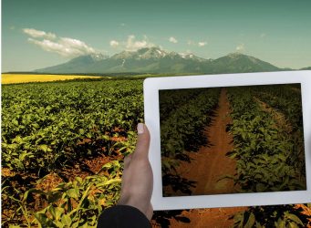 Harvesting the Power of Big Data in Agriculture