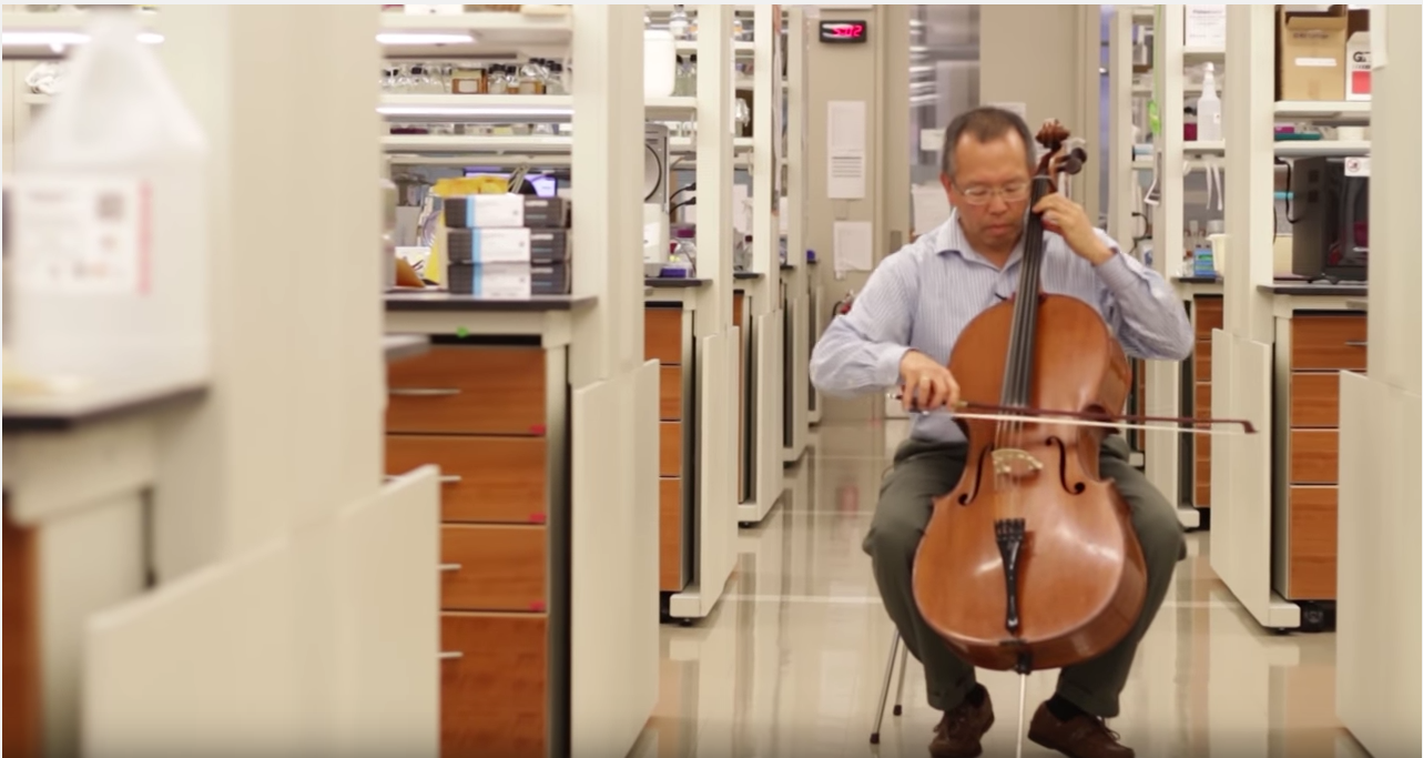 John Yin Cello
