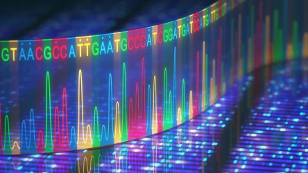 Electronic Records Pin Broad Set of Health Risks on Genetic Premutation
