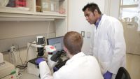 Krishanu Saha confers with a graduate student in his lab