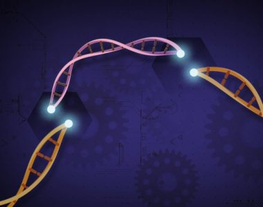 WPR: An Exciting Development, CRISPR Lets UW-Madison Researchers Edit Genes