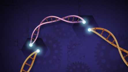WPR: An Exciting Development, CRISPR Lets UW-Madison Researchers Edit Genes