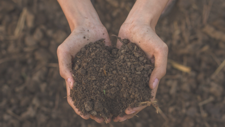 What Will We Reap Without Topsoil?