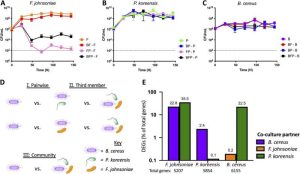 Graph containing research results from a simple model