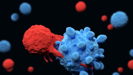 3d render of an immune system T cell killing a cancer cell