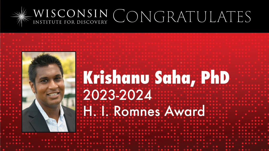 Kris Saha named Romnes Fellow