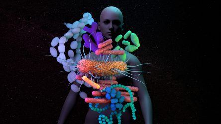 Microbes surrounding the human body