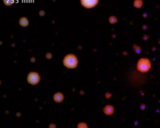 Photo of a trizorb by Sruthi Magesh