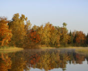 Autumn colored trees reflecting in lake