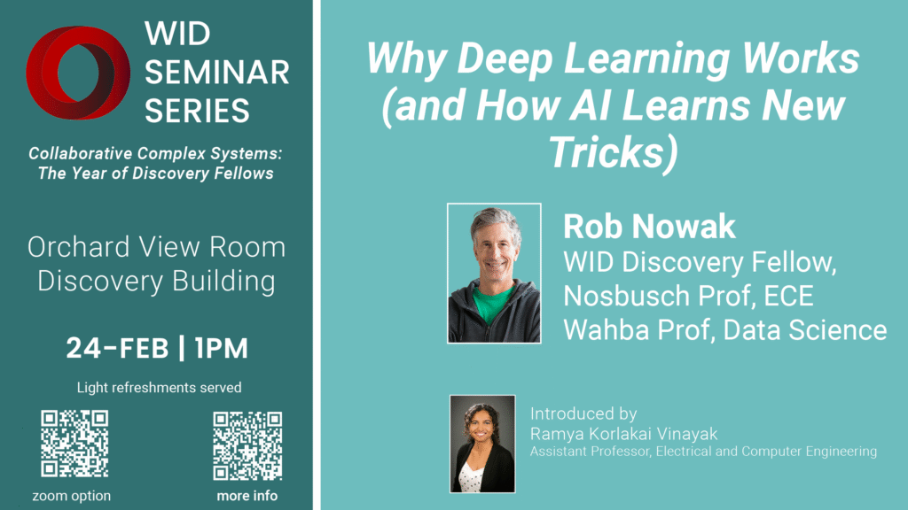 Why Deep Learning works and how AI learns new tricks