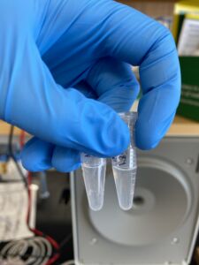 close view of vials before they go in the centrifuge