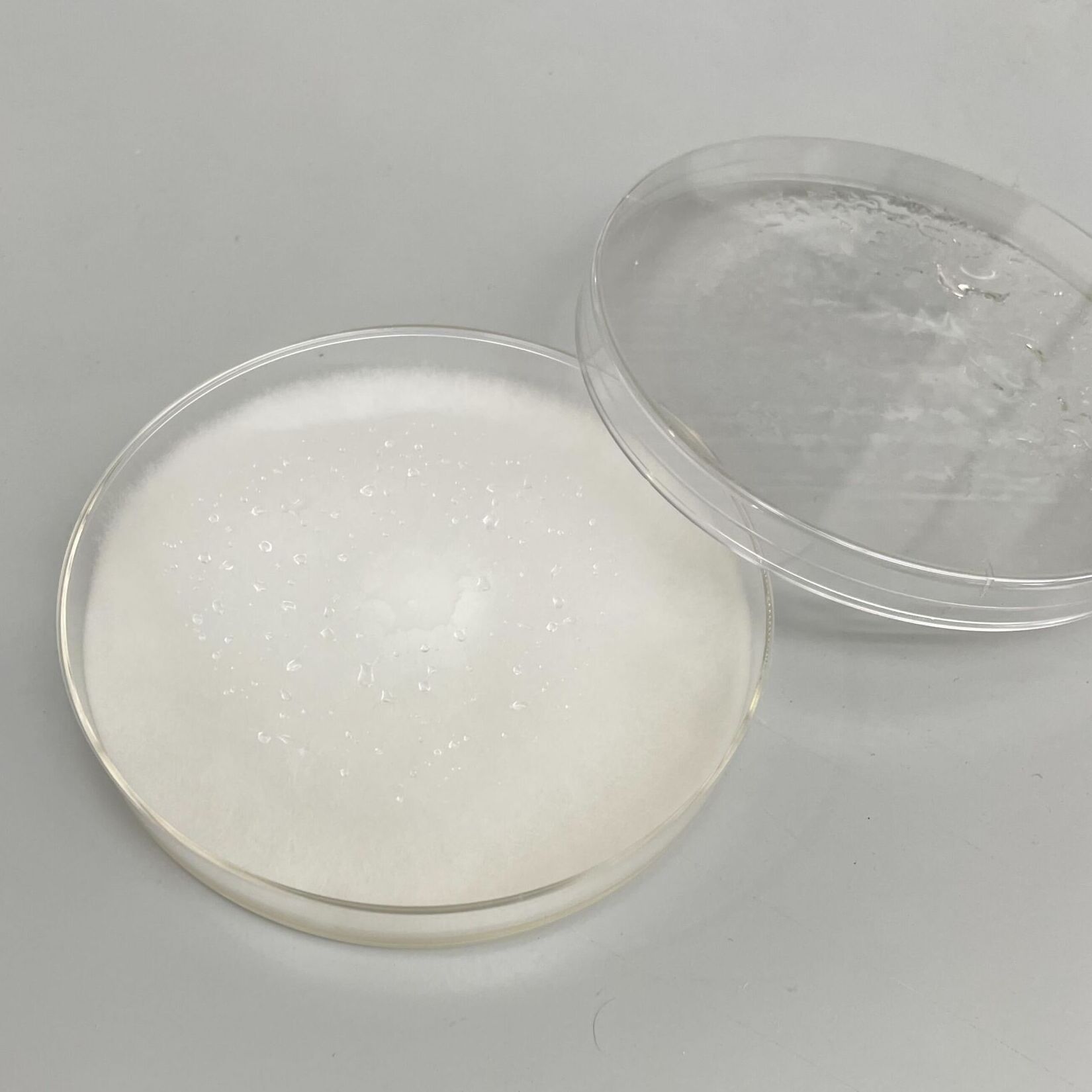 plate of white cotton