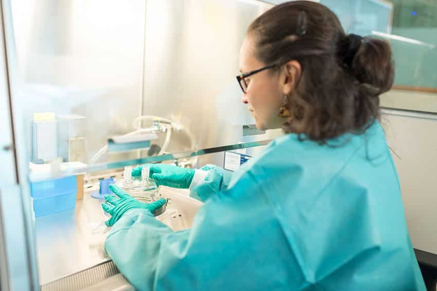 Marcela Tabima working at the hood