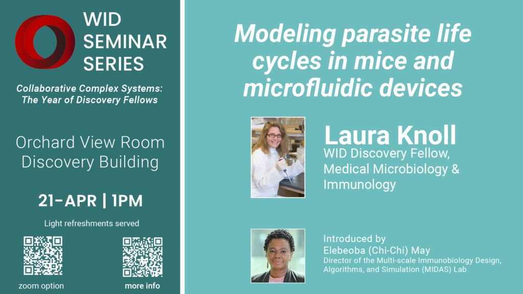 WID Seminar Series featuring Laura Knoll