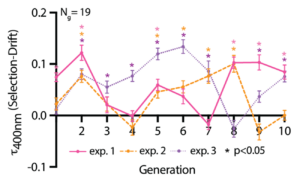 A graph showing selection data points of the bubbles