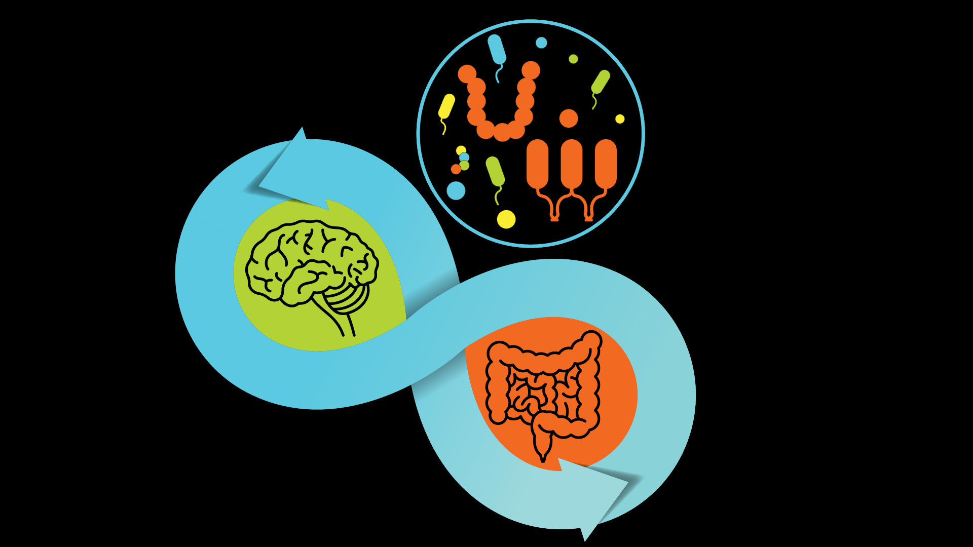 Gut brain axis graphic