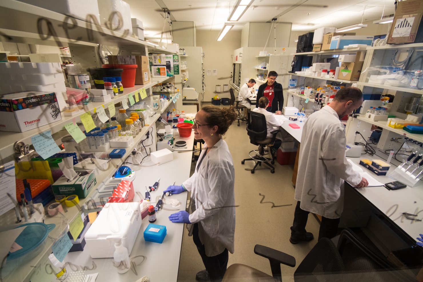 Scientists working in the John Denu Lab